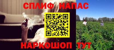 гидра Гусиноозёрск