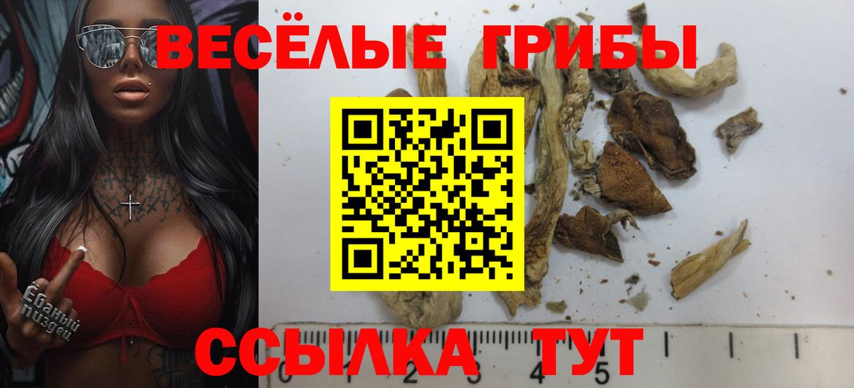 Галлюциногенные грибы мицелий  Вход с VPN  Павловский Посад  Галлюциногенные грибы GOLDEN TEACHER 